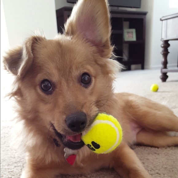 Meet your Posher, Meg - Picture 3 of 4